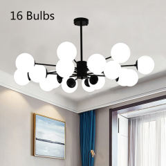 16 Bulbs（black）