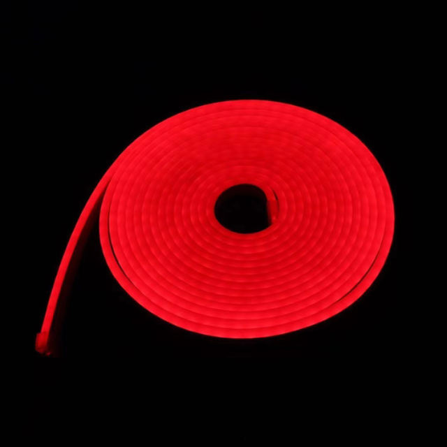 LED neon light
