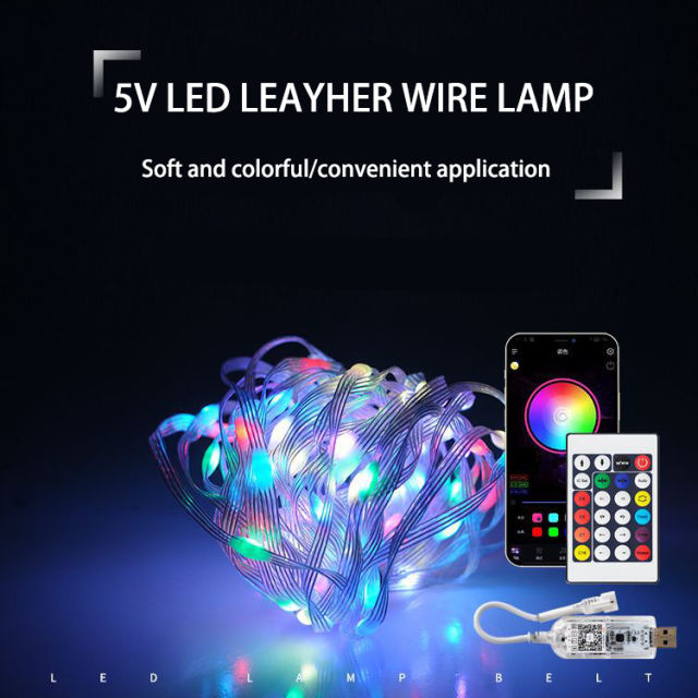 LED leather line lamp