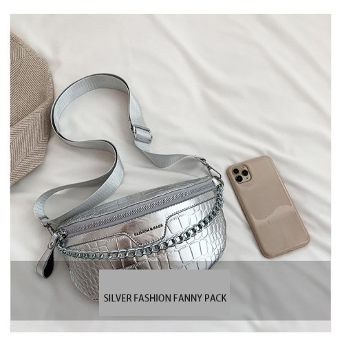 Fashion Daily Silver Fanny Pack