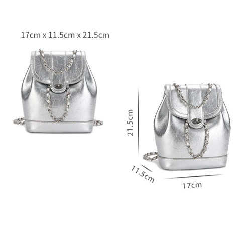 Fashion Daily Silver Leather Backpack