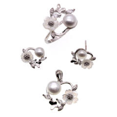 QC9290017