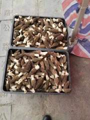 Guizhou Morels