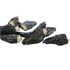 Guizhou Morels