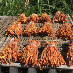 Sun-dried organic pumpkin slices