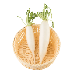 Daikon