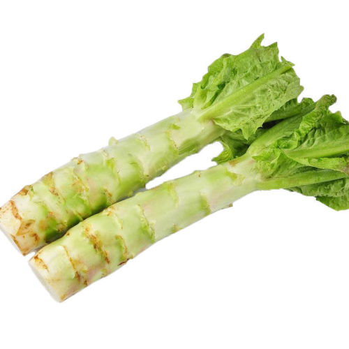 Lettuce