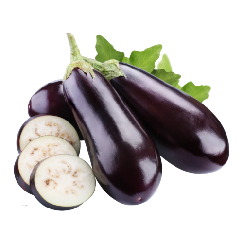 Wanhui's Fresh and Nutritious Eggplants - Vibrant & Healthy