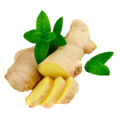Wanhui Fresh Organic Ginger - The Essence of Flavor and Health