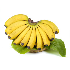 Wanhui's Premium Organic Bananas - Naturally Sweet & Nutrient-Rich
