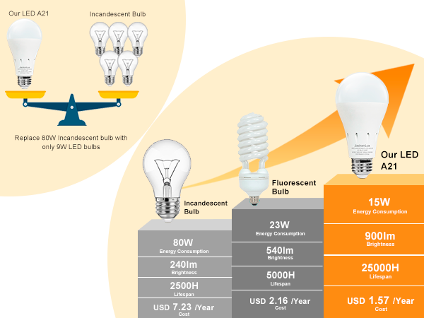 Rechargeable Emergency LED Bulb with Charge Indicator