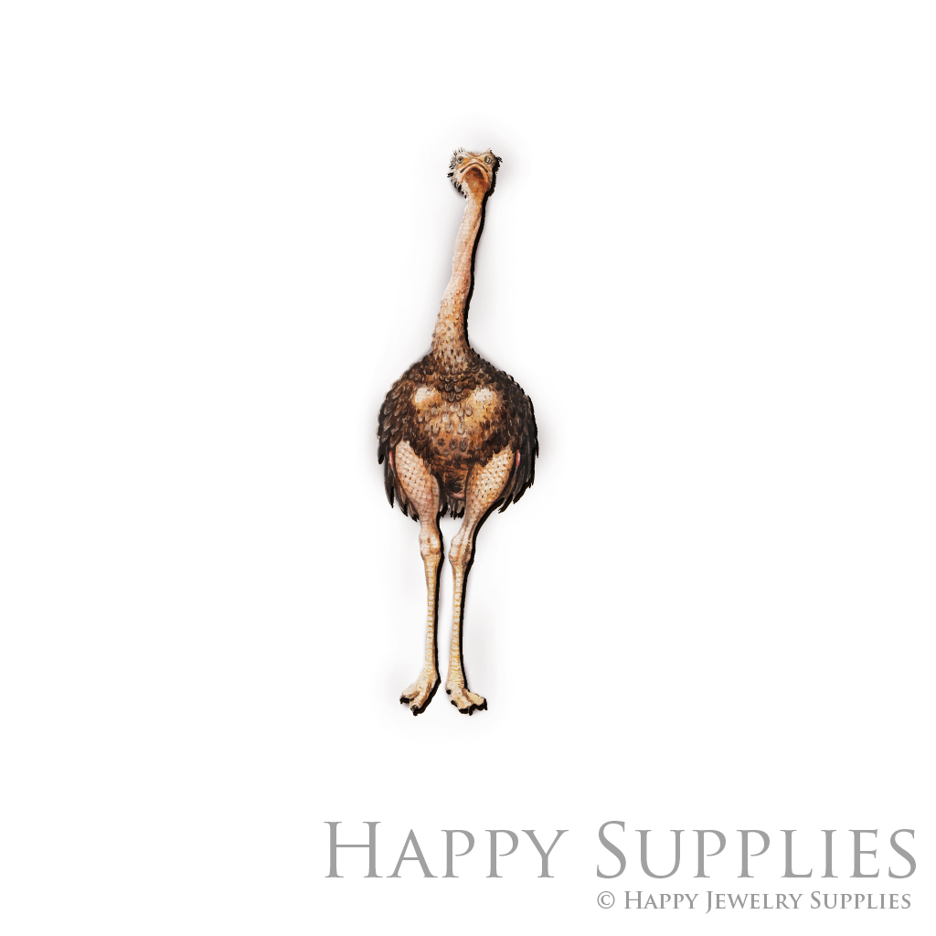 Handmade Jewelry Making Supplies Beads Cut Wooden Charm Ostrich For DIY Necklace Earring Brooch (CW452)