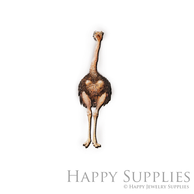 Handmade Jewelry Making Supplies Beads Cut Wooden Charm Ostrich For DIY Necklace Earring Brooch (CW452)