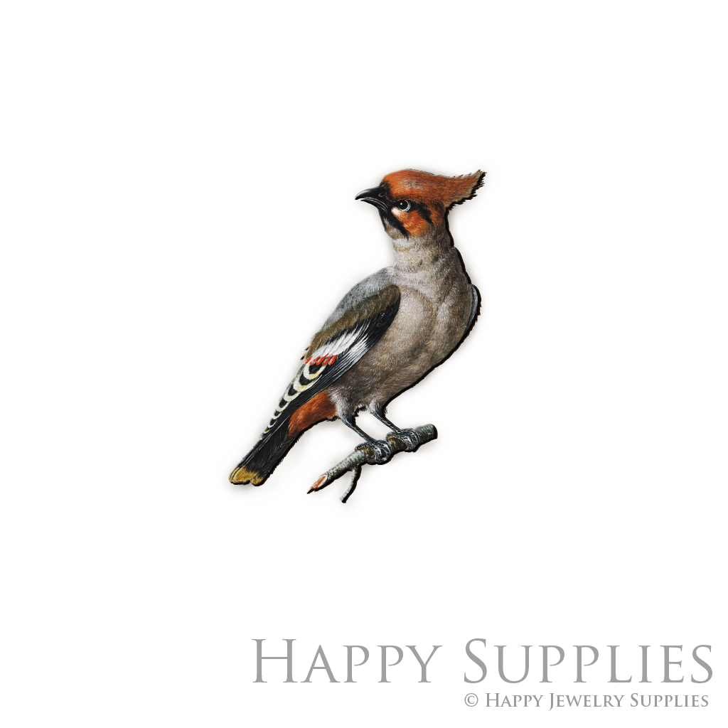 Handmade Jewelry Making Supplies Beads Cut Wooden Charm Bird For DIY Necklace Earring Brooch (CW504)