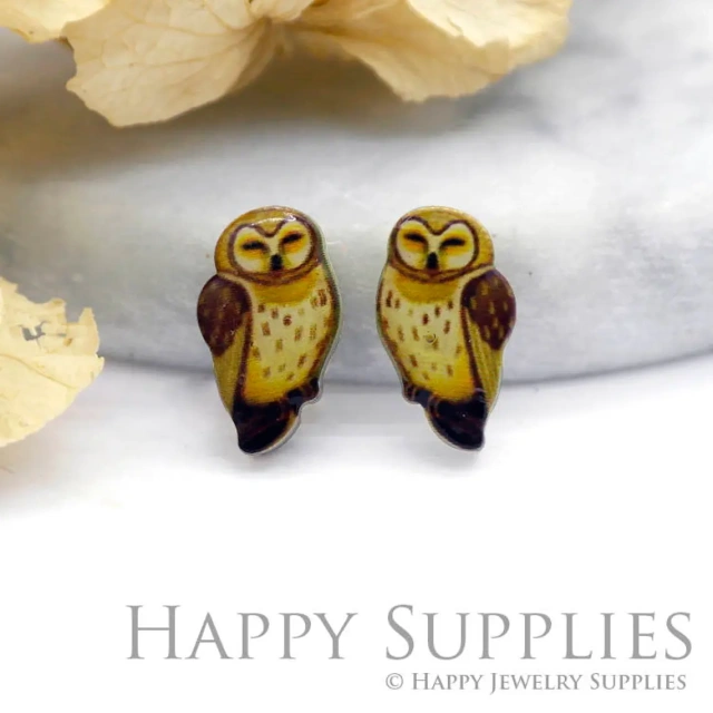 Acrylic Earrings Charms , Owl Acrylic Resin Charms , Resin Earrings Charm ,Acrylic Jewelry Findings ,Acrylic Earrings Supply (AR094)