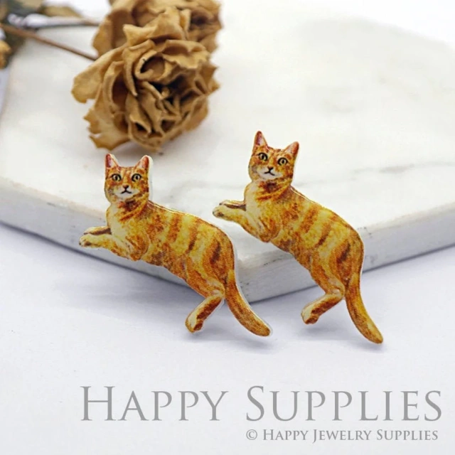 Acrylic Earrings Charms , Cat Acrylic Resin Charms , Resin Earrings Charm ,Acrylic Jewelry Findings ,Acrylic Earrings Supply (AR208)