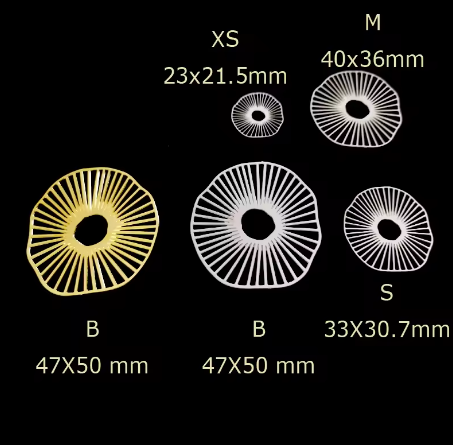 2pcs Stainless Steel Jewelry Charms, Raw Brass Charms, Geometric Round Charms, Earrings Findings, Stainless Steel Silver Jewelry Pendants, Brass Jewelry Findings, Stainless Steel Pendants Jewelry Wholesale (D099)