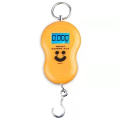Báscula electrónica portátil para el hogar, báscula pequeña de 50 kg de alta precisión, pequeña báscula portátil con gancho