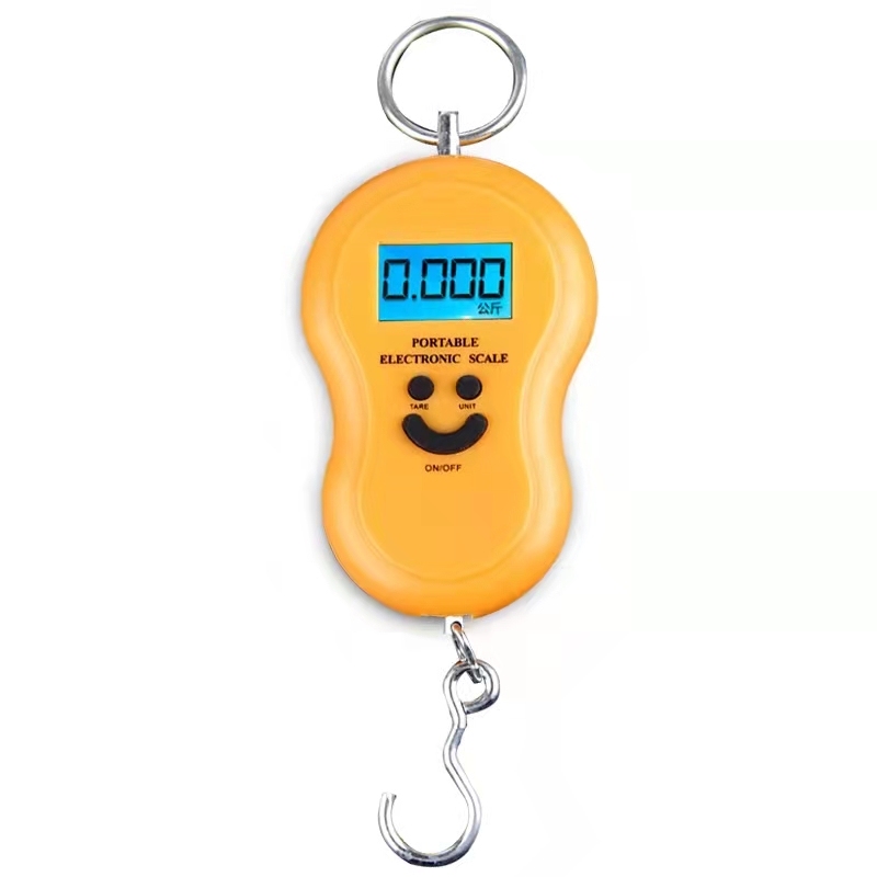 Báscula electrónica portátil para el hogar, báscula pequeña de 50 kg de alta precisión, pequeña báscula portátil con gancho