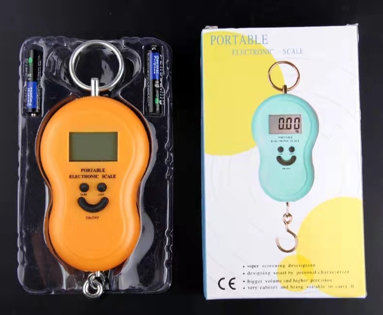 Báscula electrónica portátil para el hogar, báscula pequeña de 50 kg de alta precisión, pequeña báscula portátil con gancho