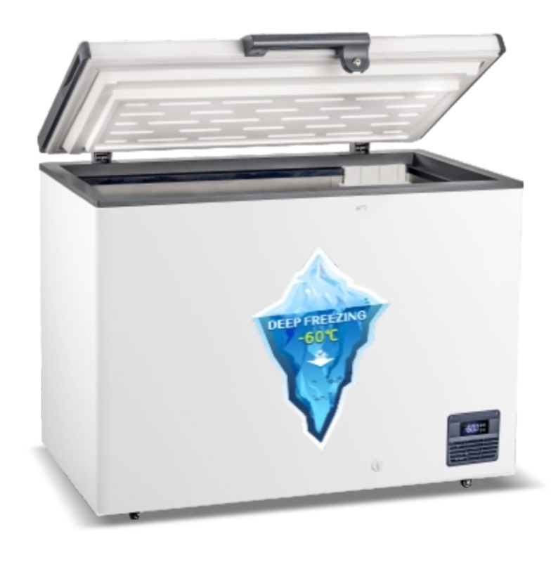 Freezer BD(W)-200D