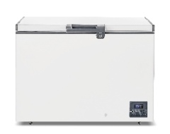 Freezer BD(W)-200D