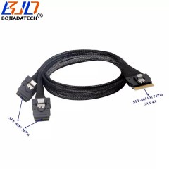 SFF-8654 8i 74Pin SAS 4.0 to 2 Port SFF-8087 36Pin Server Hard Disk Data Cable 12Gbps 1M