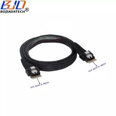 SFF-8654 38pin SAS 4.0 Male to Male Hard Disk Drive Target Raid Data Cable 12Gbps 100CM 1M