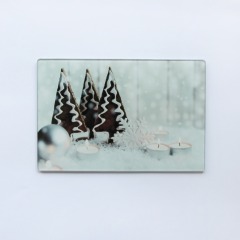 Tempered glass cutting board 5