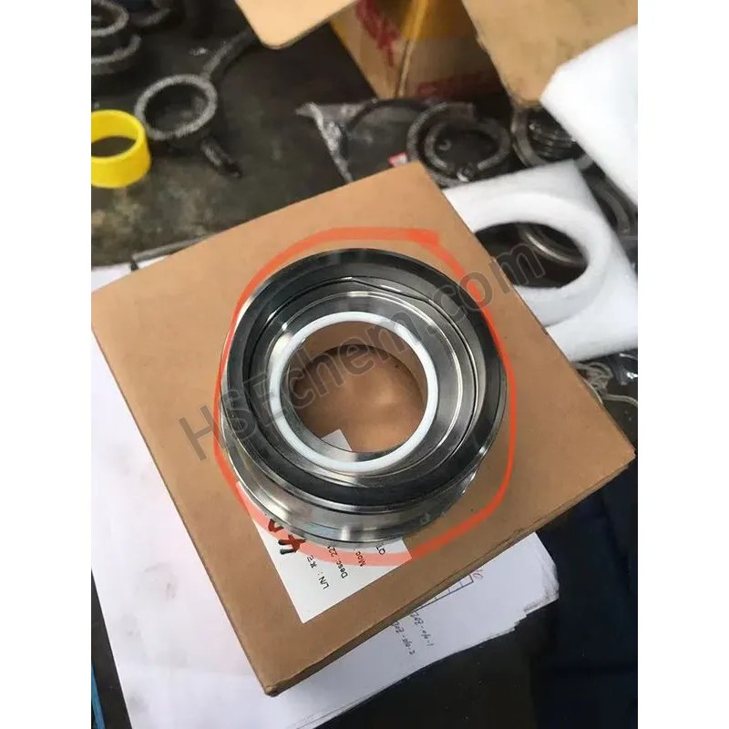 Double Mechanical Seal