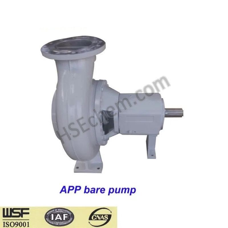 Bare Shaft Pump