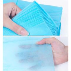 Disposable Thicken Medical Non-woven Beauty Tattoo Clean Pad Salon Massage Bed Cover Sheets