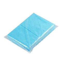 Disposable Thicken Medical Non-woven Beauty Tattoo Clean Pad Salon Massage Bed Cover Sheets