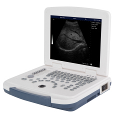 Laptop portable veterinary vet ultrasound scanner machine system