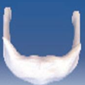 Hyoid magnification model