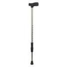 Single crutch
