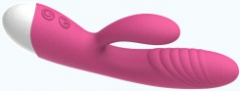 WSA 015 Double layer hardness vibrating rod