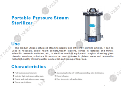 Portable Pressure Steam Sterilizer