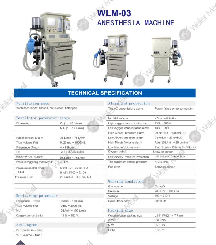 WLM-03