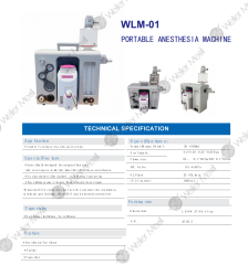 WLM-01