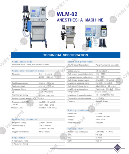 WLM-02