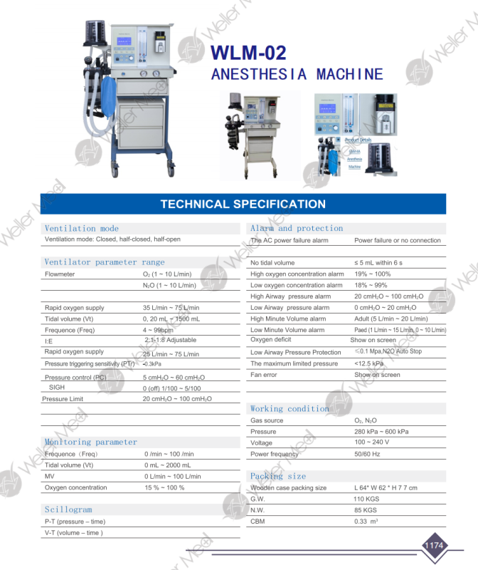 WLM-02