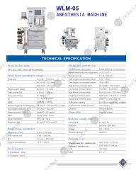 WLM-05