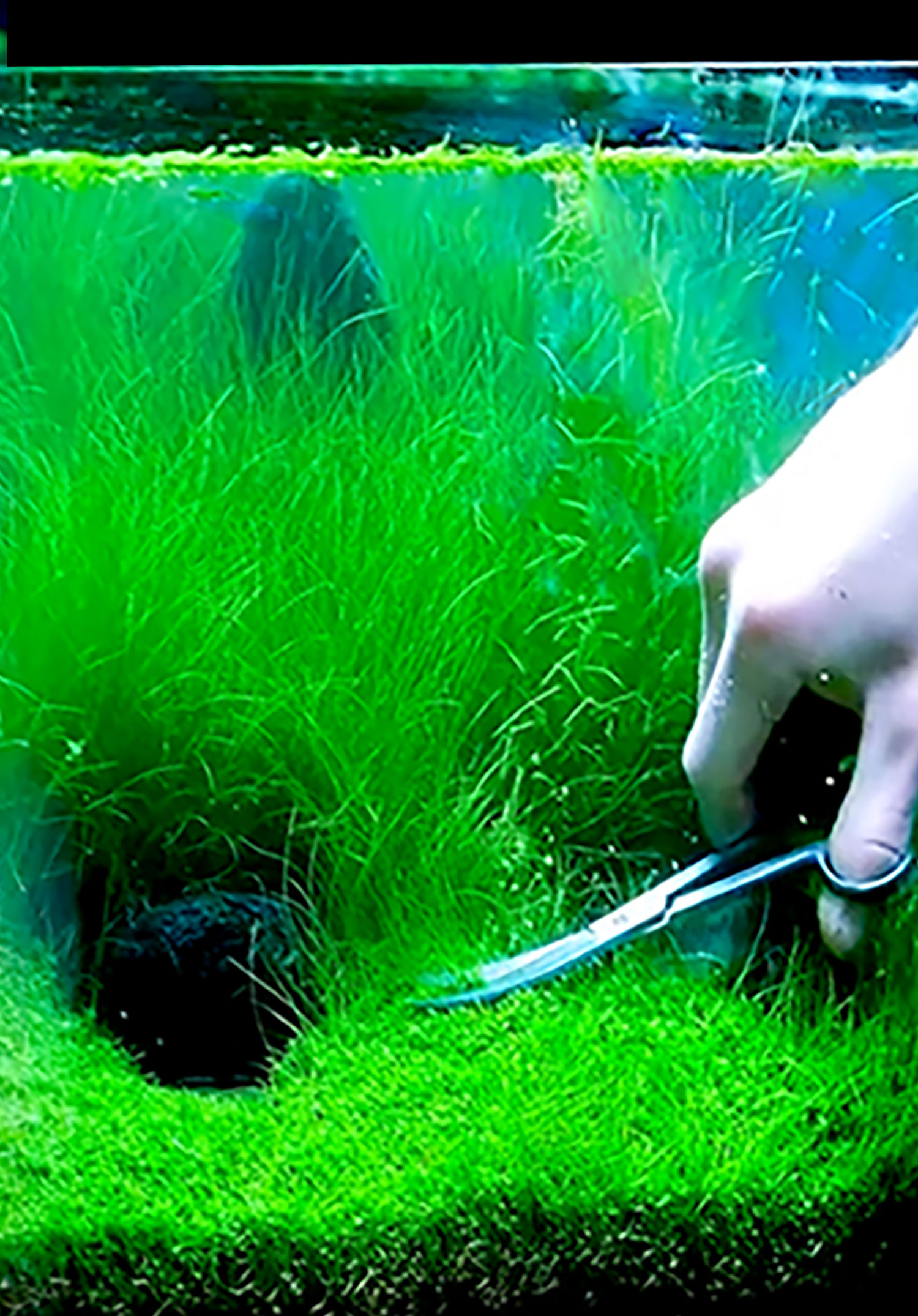 Aquascaping-Werkzeuge