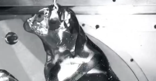 Black Panther 5-Axis Machining