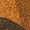 Camouflage orange
