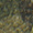 Camouflage green