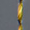 Gray/yellow line