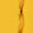 Yellow/yellow line