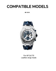 Vagenari S-Grade TPU Watch Protective Film For AP 26170 Leather strap model